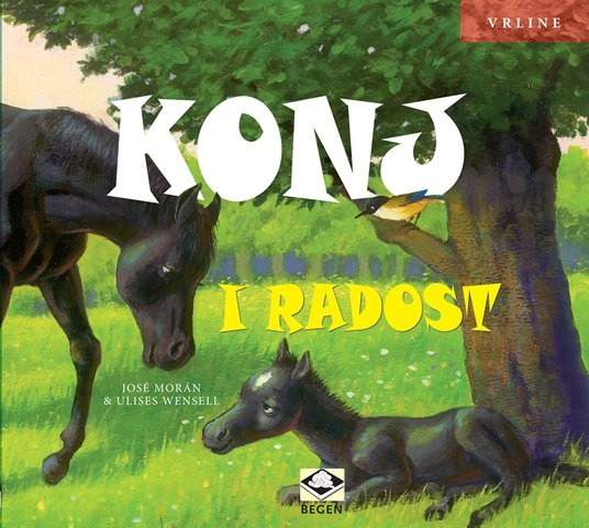 Ilustracija knjige