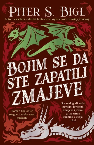 Ilustracija knjige