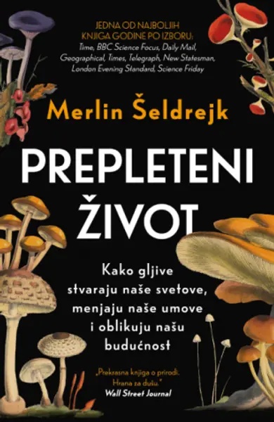 Ilustracija knjige