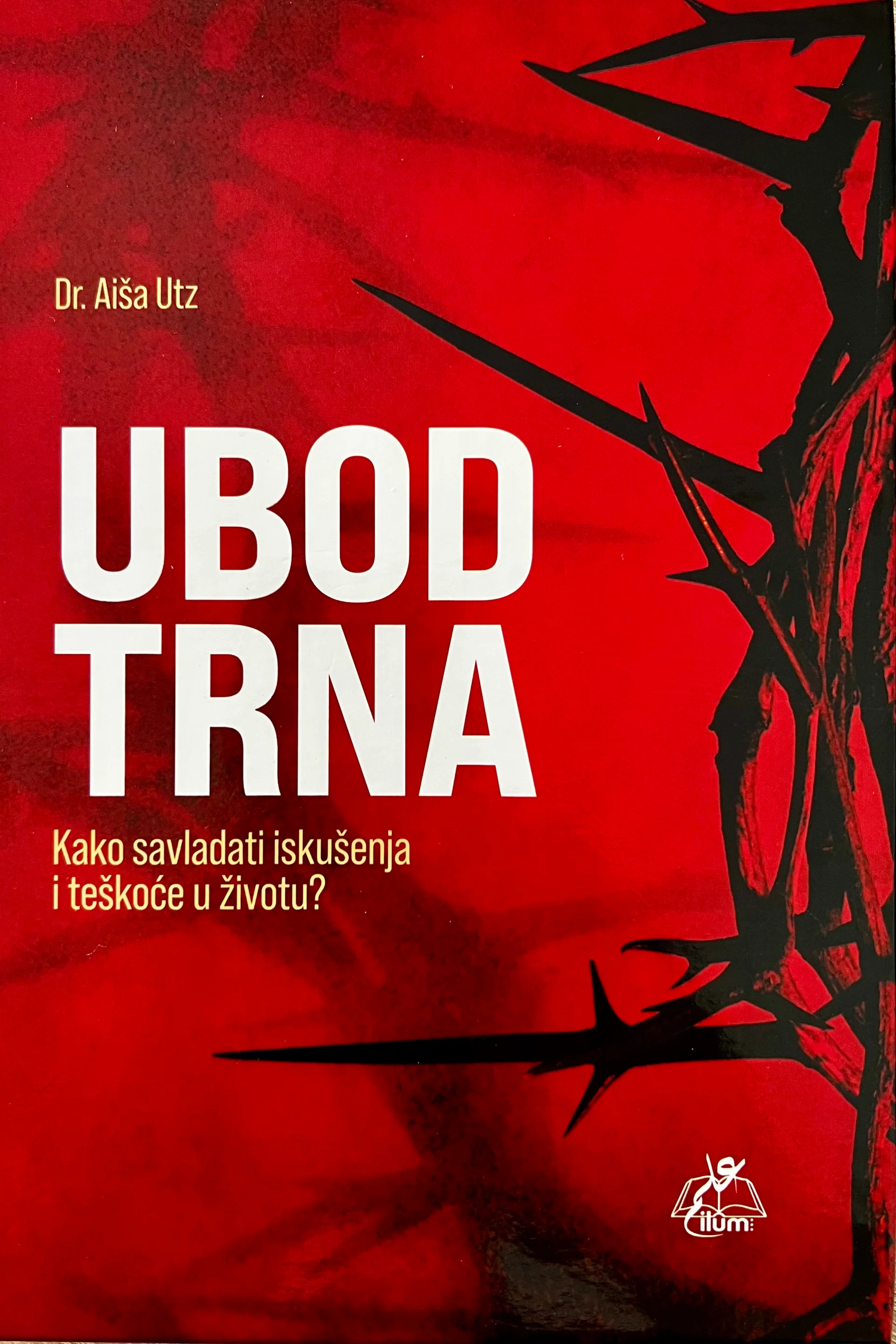Ilustracija knjige